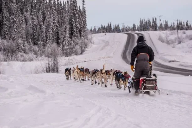 How is Climate Change Affecting Outdoor Sports in Alaska? iditarod trail