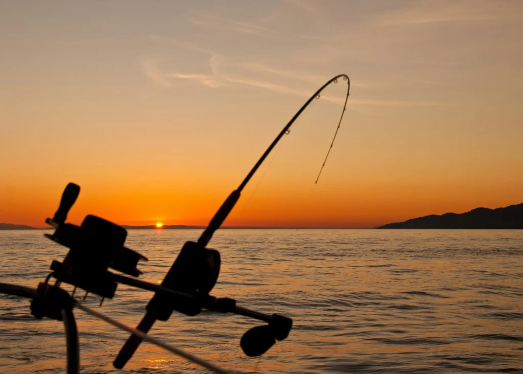 The Essential Guide to Fly Tying Vises black fishing rod in water
