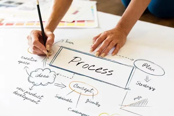 Adopting MVP Strategies for Sustainable Development A flow chart of PROCESS