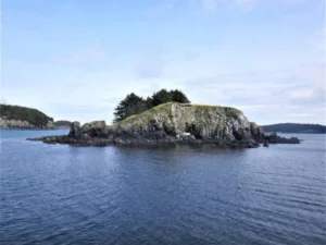 Kodiak alaska