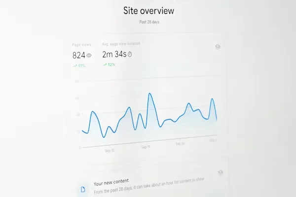 How Can Businesses Stay Ahead in Lead Gen Without Burning Out? a site overview grpah