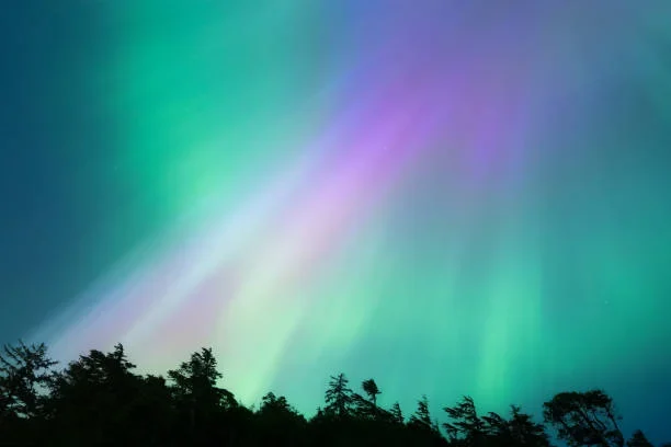Planning a Trip to Alaska in May? Here’s What You Need to Know northern lights
