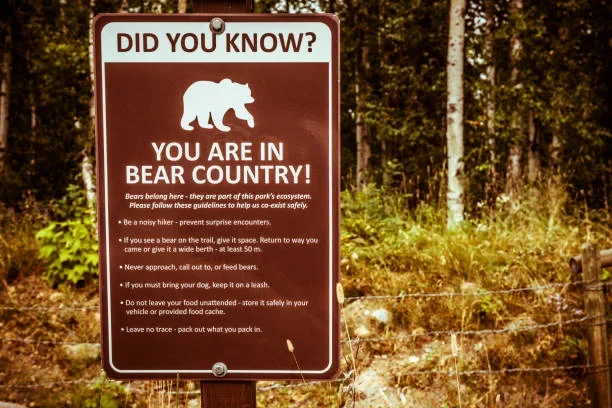 What to Pack for Your First Trip to Kodiak Alaska wildlife safety