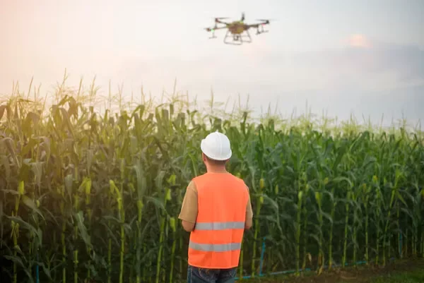 How is Technology Optimizing Agricultural Supply Chains? A man standing next to farmland