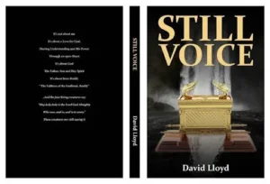 Book still voice front nad back cover 1