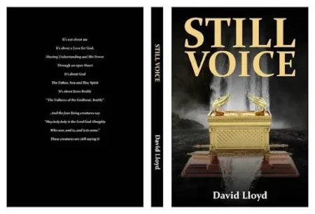 Book still voice front nad back cover 1