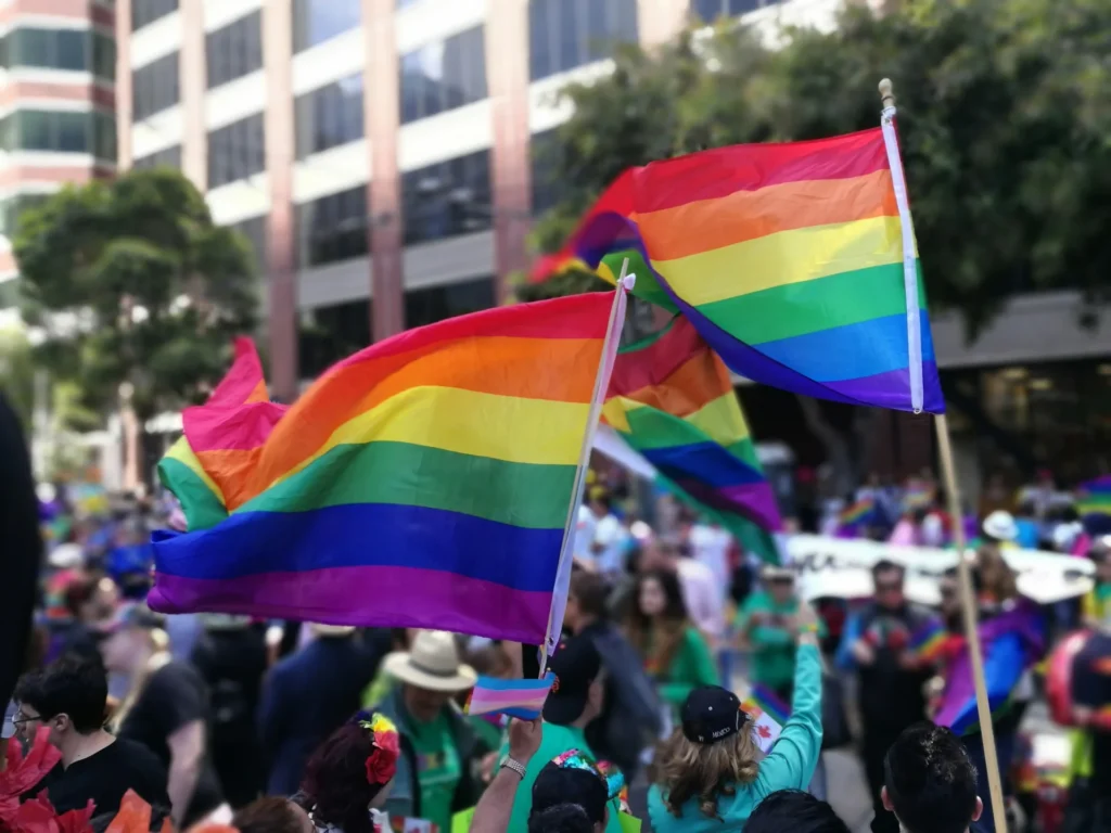 LGBTQ+ flag.