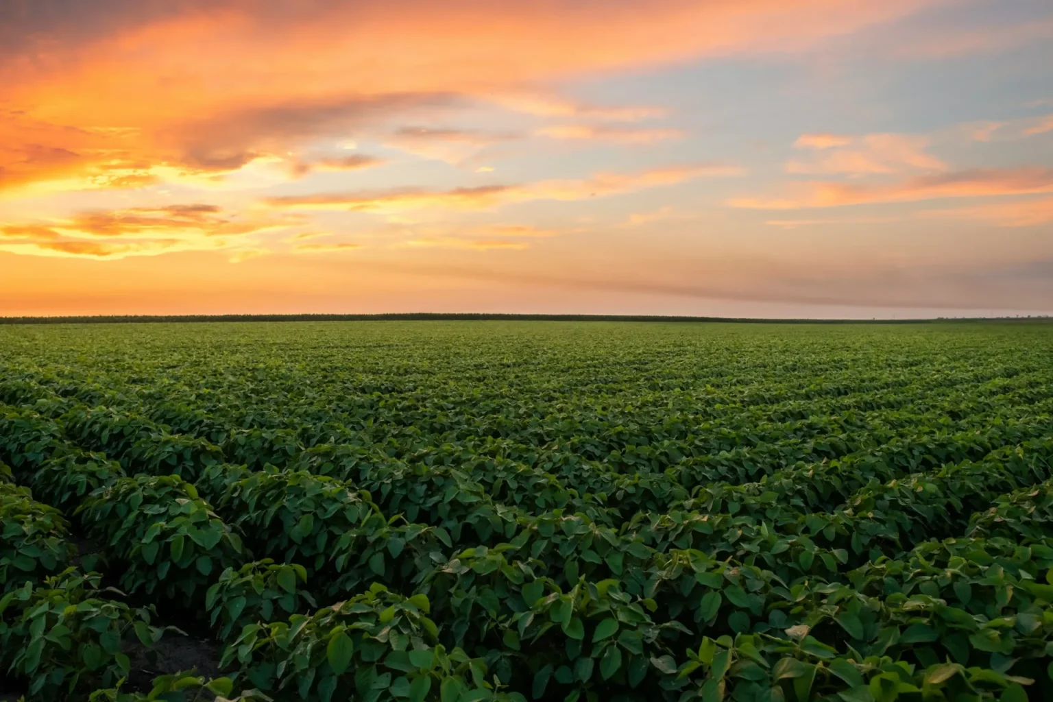 Senator Mike Lee Revises Controversial Alaska Land Sale Proposal Land