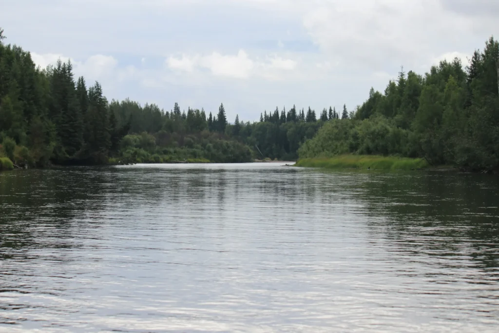 A river