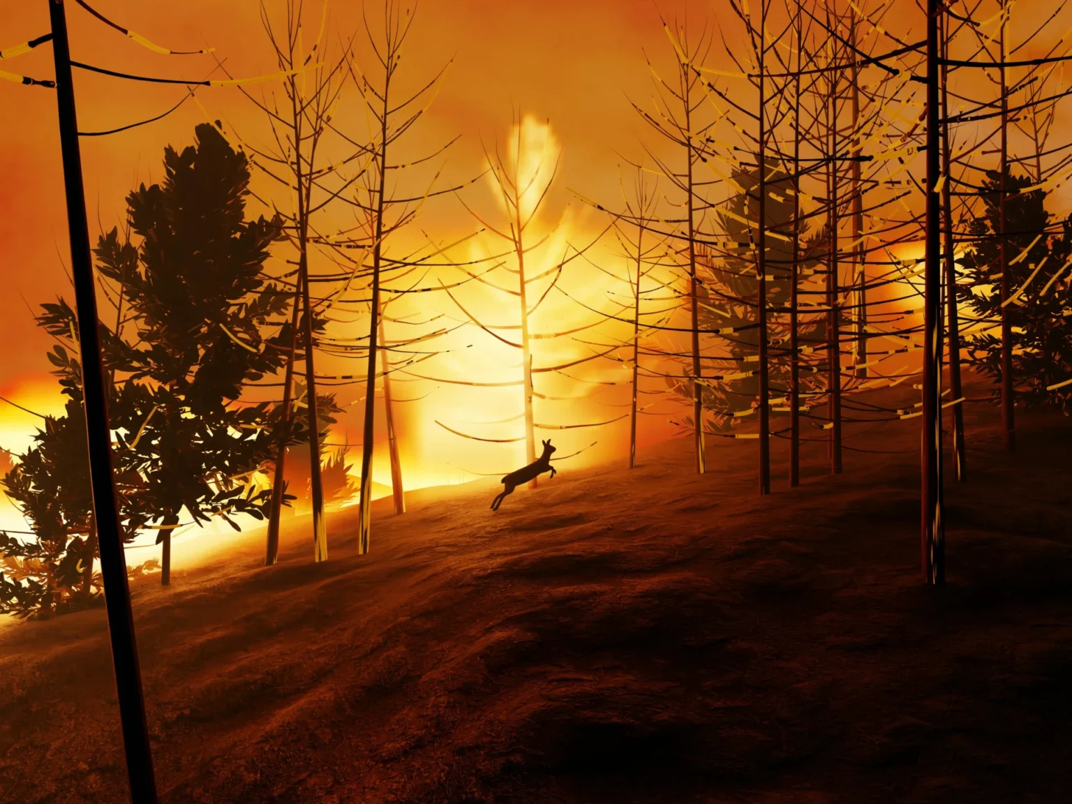 Wildfire in Alaska Spurs Evacuations and Disaster Declarations as Homes Burn A Wildfire.