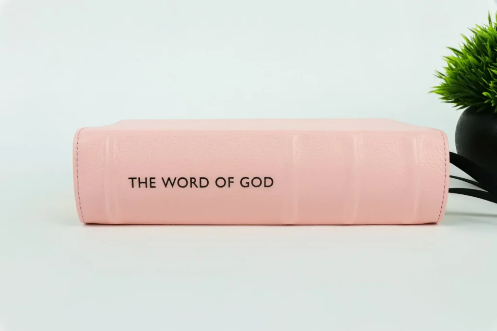 That Guides: David Carter’s Odyssey of Faith and Miracles A pink cover book with the word of god written on it