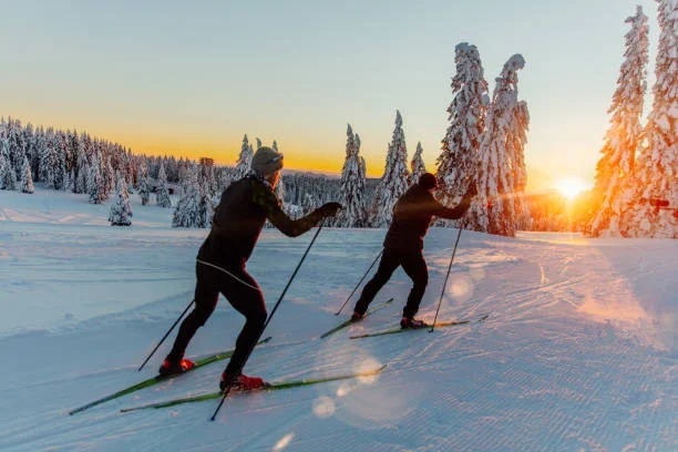 Cross Country Skiing: A Complete Guide to the Sport, Equipment, and Olympics country cross skiing