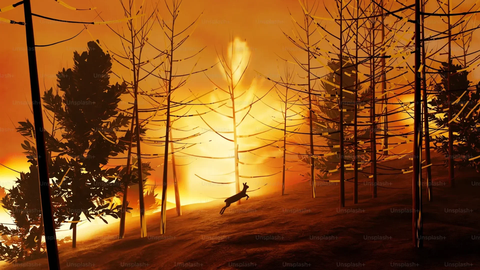 Everything You Ever Need to Know About Catastrophe Claims Deer running through a forest