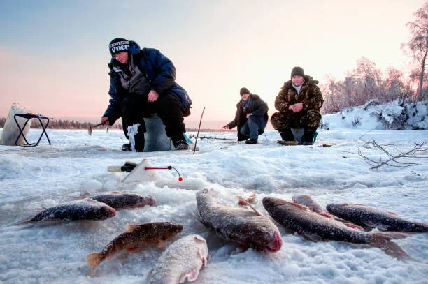 Ice Fishing in Fairbanks: A Thrilling Winter Adventure fishes