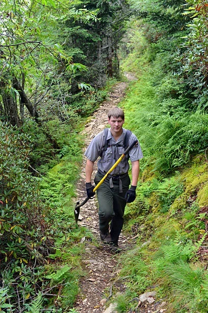 How Are Hiking Trails Made? A Data-Backed Look at the Trails Beneath Your Feet maintenance