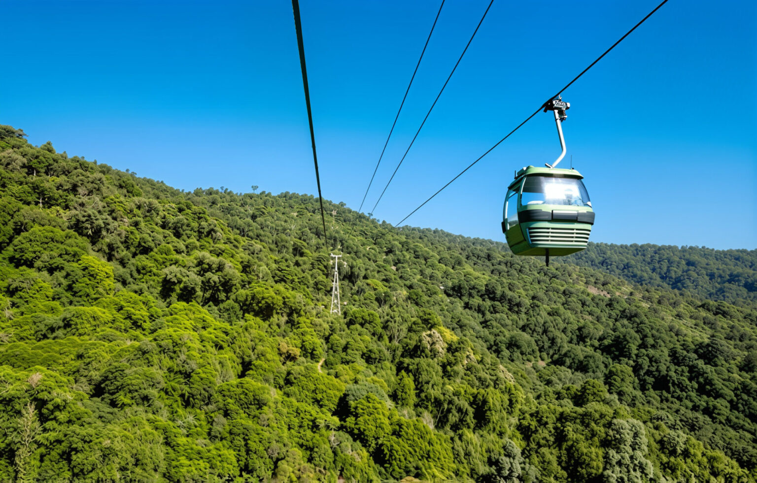 unblurimageai rainforest