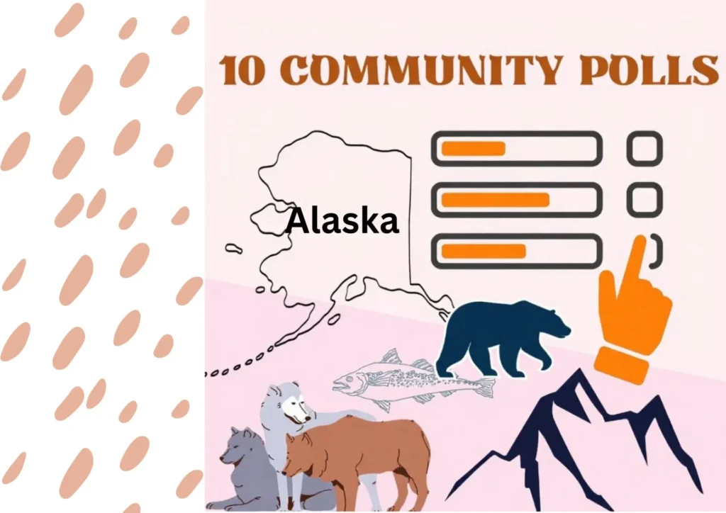 10 Community Polls