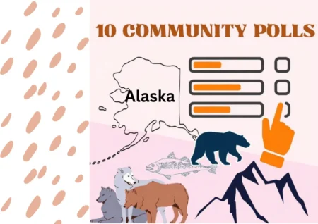10 Community Polls