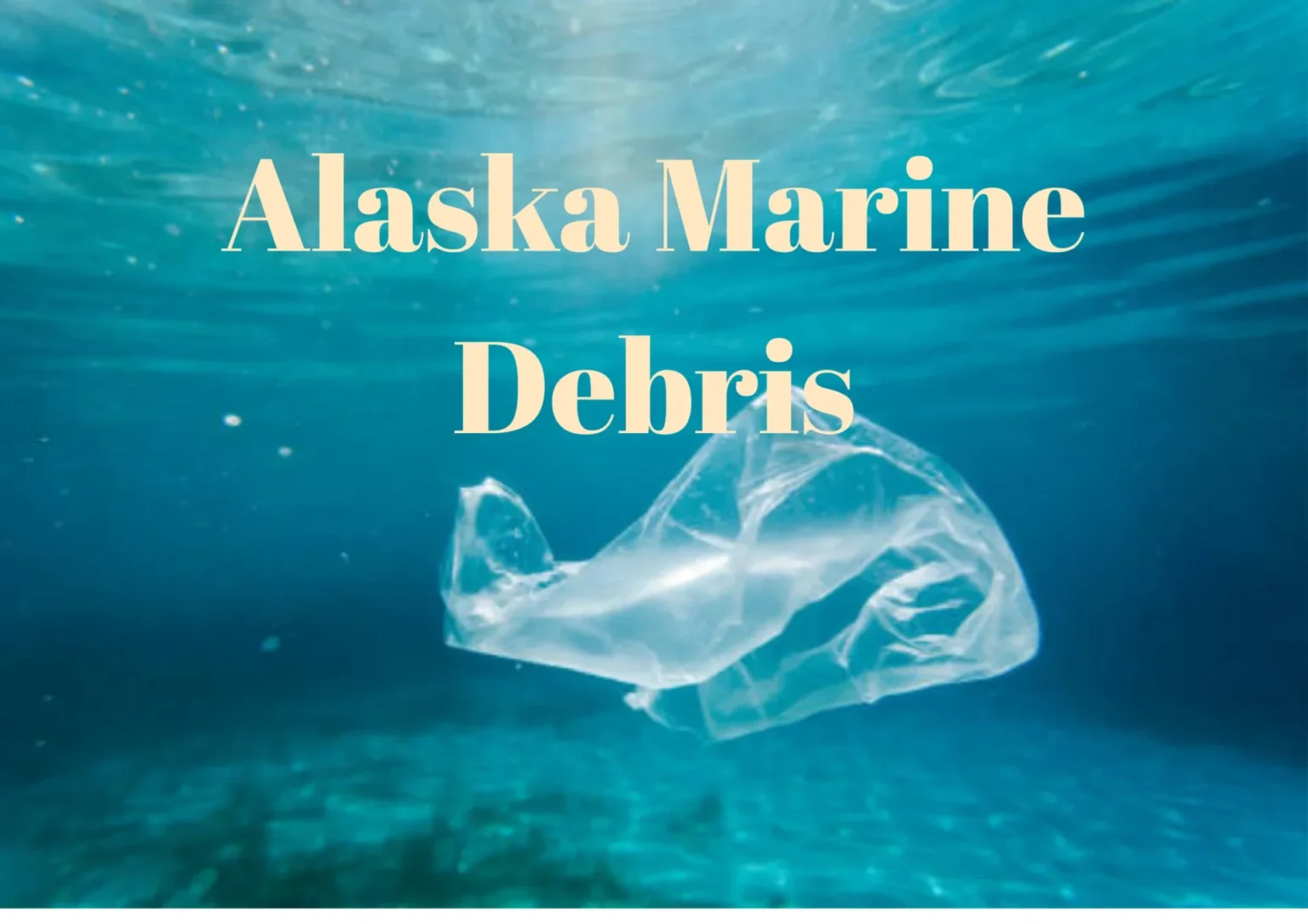 Alaska’s Marine Debris Crisis: What’s Washing Up on the Last Frontier? Alaska Marine Debris