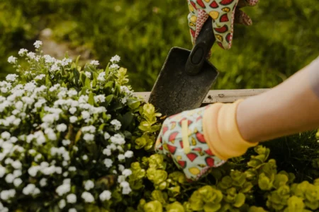 A Person Gardening.