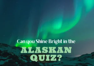 Northern Lights Background Picture Postcard