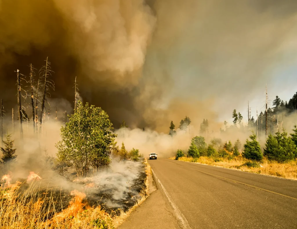 A wildfire.