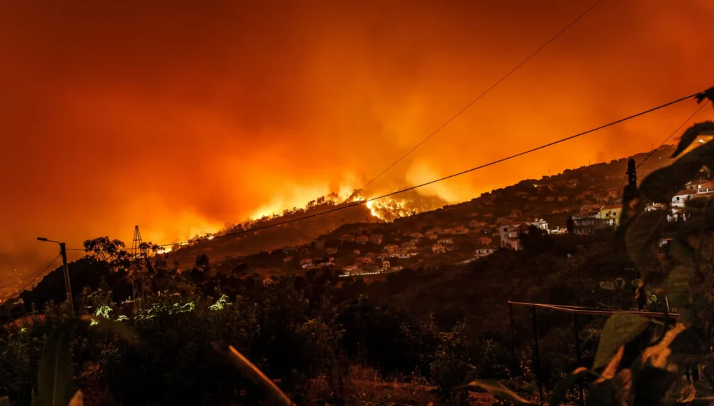 Wildfire.