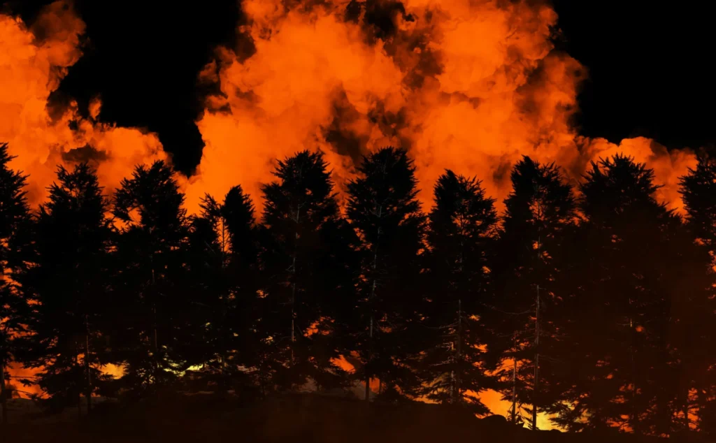 Wildfire