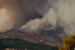 A Wildfire.