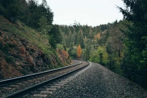 How to Plan the Perfect Proposal in Alaska a rail track in the forest