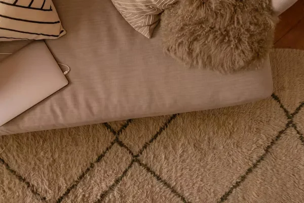 Eco-Friendly Rugs for Modern Homes: Sustainable Style Guide a sofa and a brown rug.