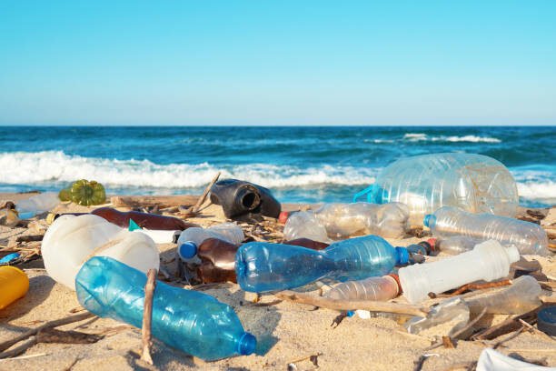 Alaska’s Marine Debris Crisis: What’s Washing Up on the Last Frontier? bottles everywhere