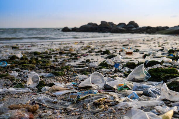 Alaska’s Marine Debris Crisis: What’s Washing Up on the Last Frontier? debris