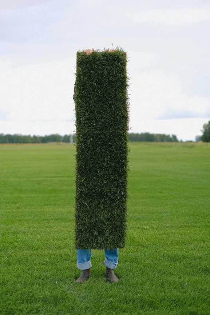 green grass