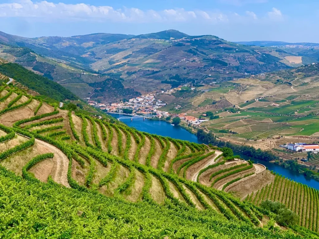 From Castles To Vineyards: What You’ll See On A River Cruise green grass field near water