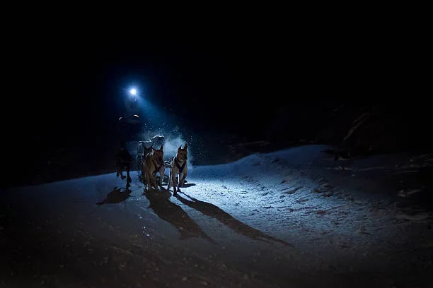 30 Days of Night in Alaska: More Than Just a Horror Movie! outdoor sports