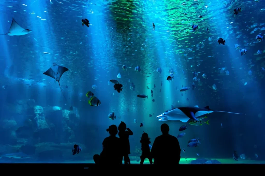 people looking at aquarium