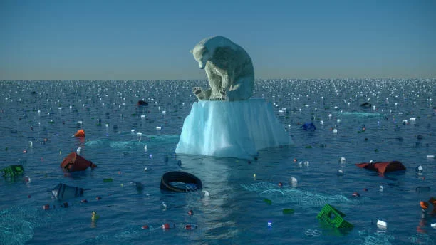 Alaska’s Marine Debris Crisis: What’s Washing Up on the Last Frontier? polar bear