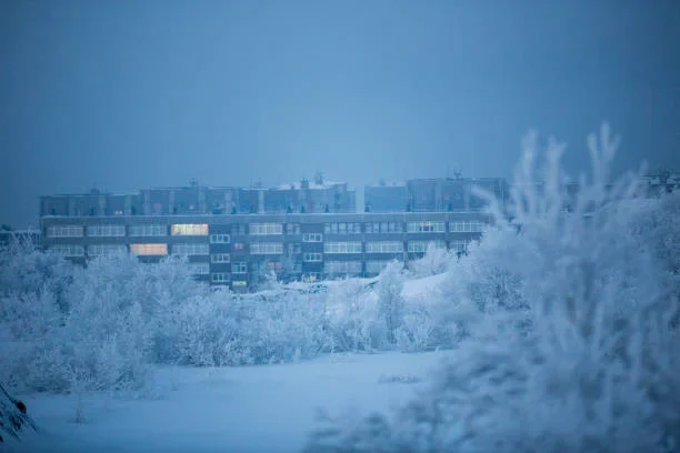 polar night