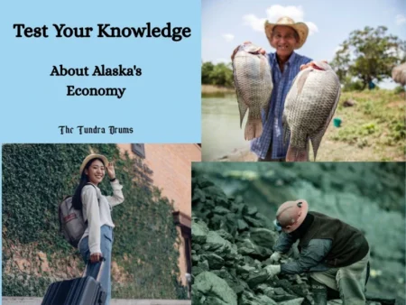 quiz about alaska economy