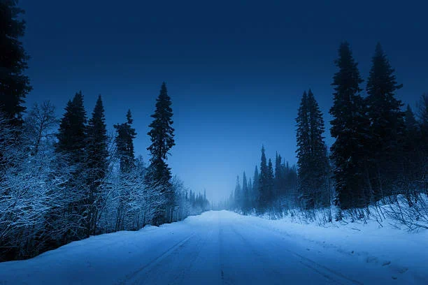 snowy dark