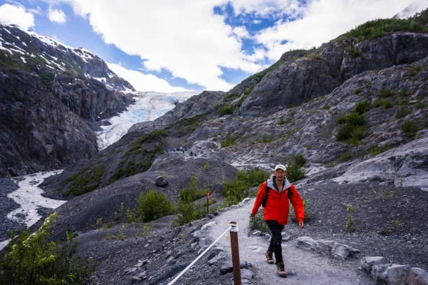 The One Tour in Kenai Fjords That Locals Secretly Recommend tour