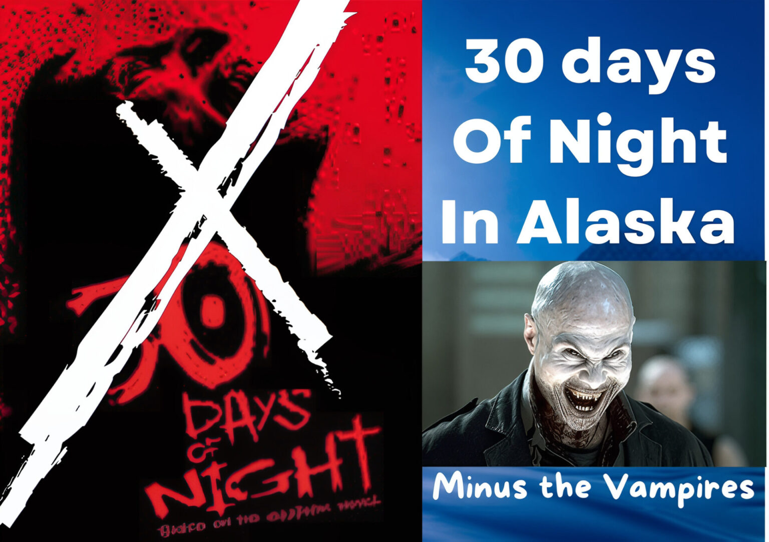 unblurimageai Funny Do Not Disturb Cat Poster