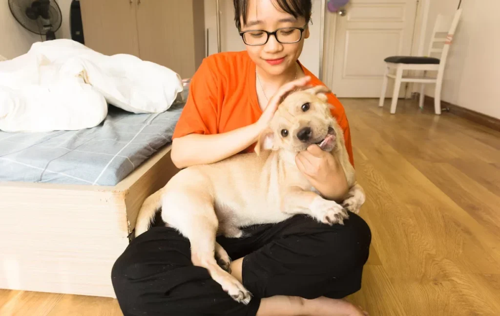 Who Can Benefit from Dog Boarding Services woman holding a dog