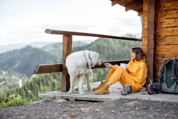 Why Premium Dog Food Improves Your Pet’s Health A girl feeding her dog
