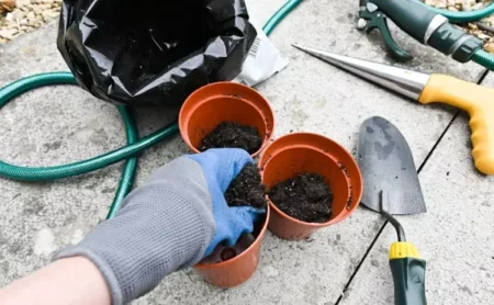 A person putting soil in the pots