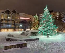 Anchorage Winter Festivals and Outdoor Adventures: A Guide to Fun in the Snow Anchorage Tree Lighting Ceremony