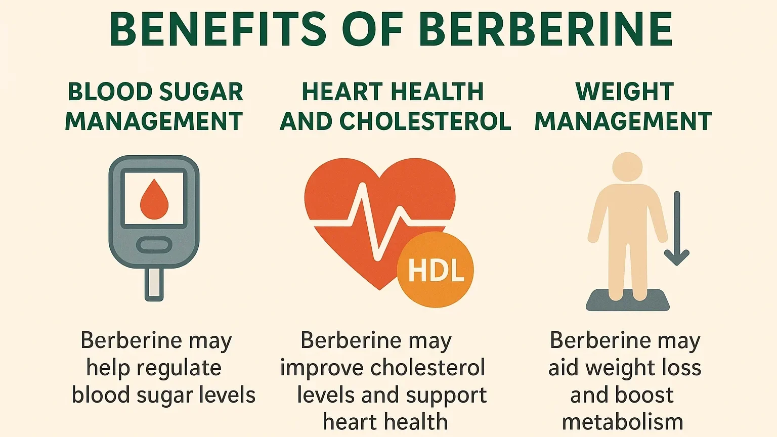 What to Know About Berberine and Its Use in UK Health Trends Berberine health benefits infographic illustration