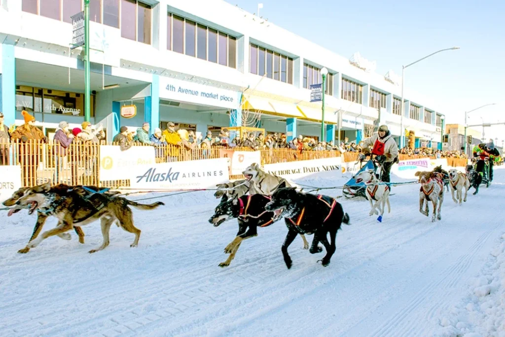 Anchorage Winter Festivals and Outdoor Adventures: A Guide to Fun in the Snow Fur Rendezvous Festival