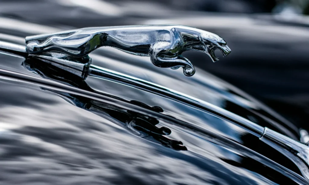 Jaguar Logo